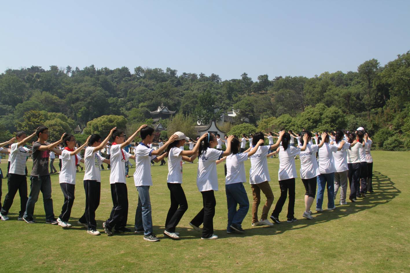 上海绿神生态开展户外拓展活动